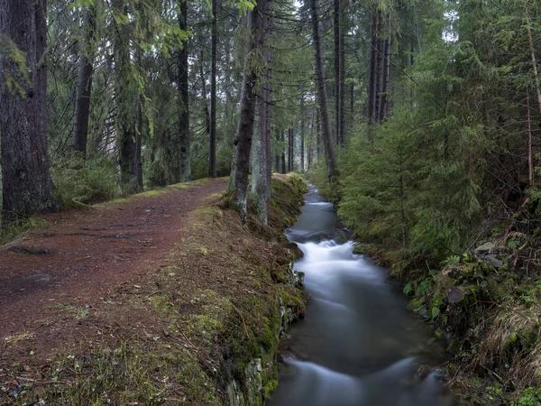 Krásný Záběr Vodopád Lese — Stock fotografie