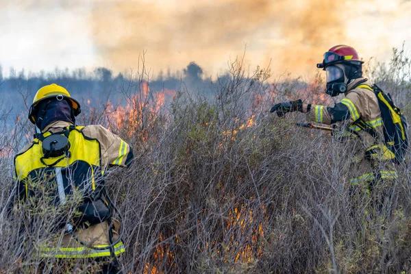 Brave Firefighters Put Out Fire Forest — Stock Photo, Image