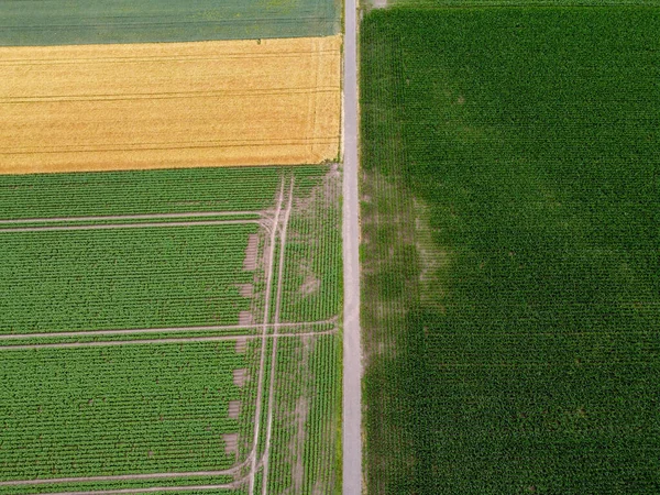 Αεροφωτογραφία Των Καταπράσινων Λιβαδιών — Φωτογραφία Αρχείου