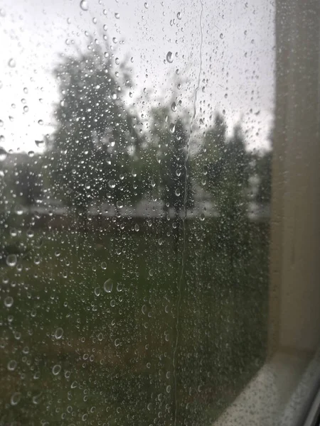 Yağmurdan Sonraki Pencere Görüntüsü — Stok fotoğraf