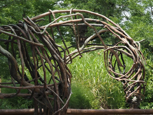 Экологическая Скульптура Зоопарке Канзас Сити Миссури — стоковое фото