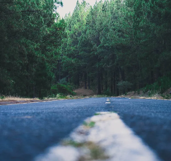 Une Belle Vue Sur Une Rue Vide Entourée Arbres — Photo