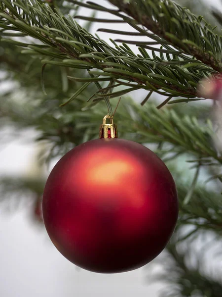 Vertikální Záběr Červeného Vánoční Stromečku — Stock fotografie