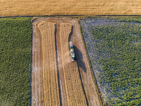 농지와 농기구의 보이는 — 스톡 사진