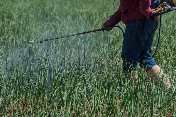 Ein Malerischer Blick Auf Einen Arbeiter Der Das Feld Mit — Stockfoto