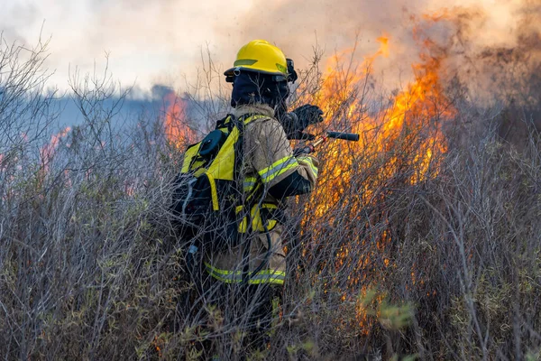 The brave firefighter put out the fire in a forest