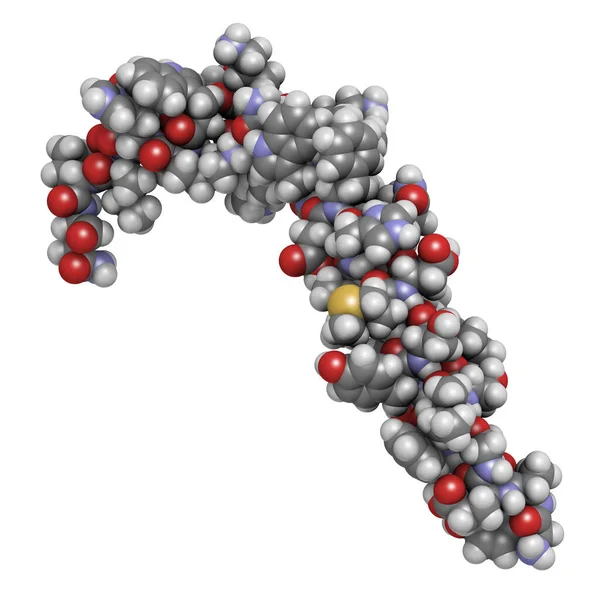 Gastric Inhibitory Polypeptide Gip 포도당 의존성 절연성 펩타이드 내분비 단백질 — 스톡 사진