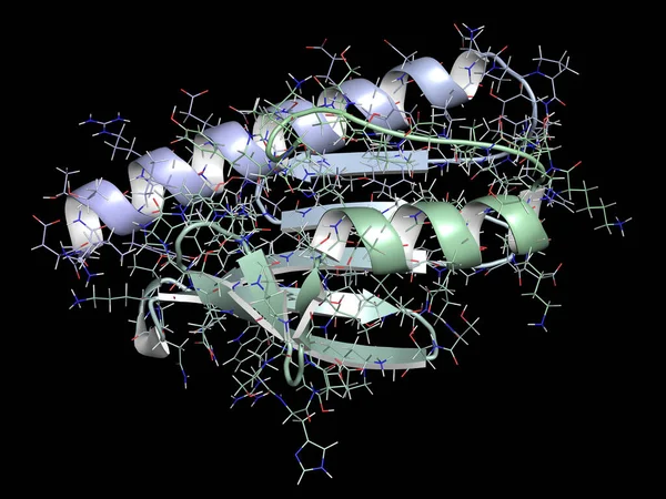 Frataxin Lidský Mitochondriální Protein Snížený Výraz Způsobuje Friedreichovu Ataxii Ilustrace — Stock fotografie