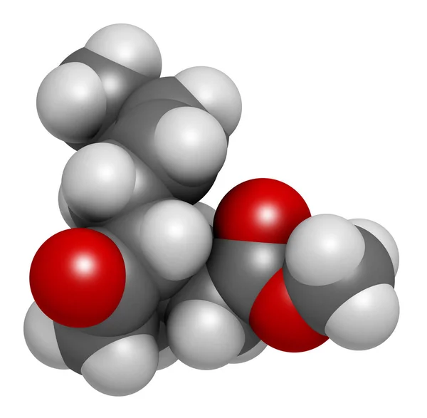 Methyljasmonaat Plant Stress Signaal Molecuul Weergave Atomen Worden Weergegeven Als — Stockfoto