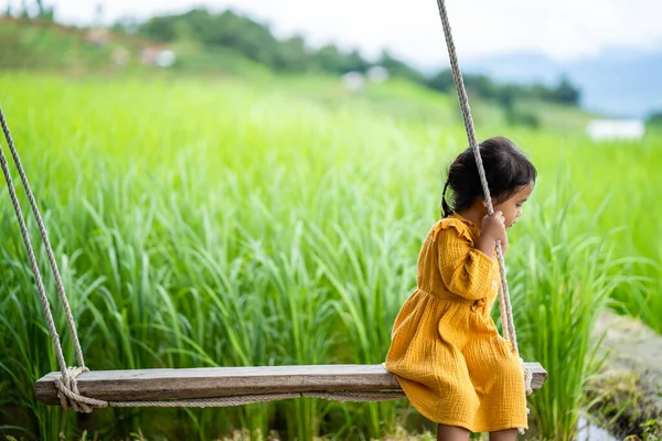 Ein Süßes Asiatisches Kleines Mädchen Sitzt Auf Einer Schaukel Einem — Stockfoto