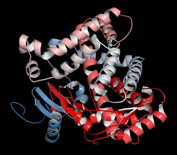 Cytochrom P450 Cyp2D6 Leberenzym Komplex Mit Dem Medikament Chinin Renderer — Stockfoto