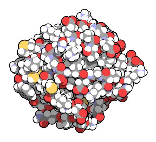 チオレドキシン抗酸化酵素 3Dイラスト 従来のカラーコーディングを施した球体として表示される原子 — ストック写真
