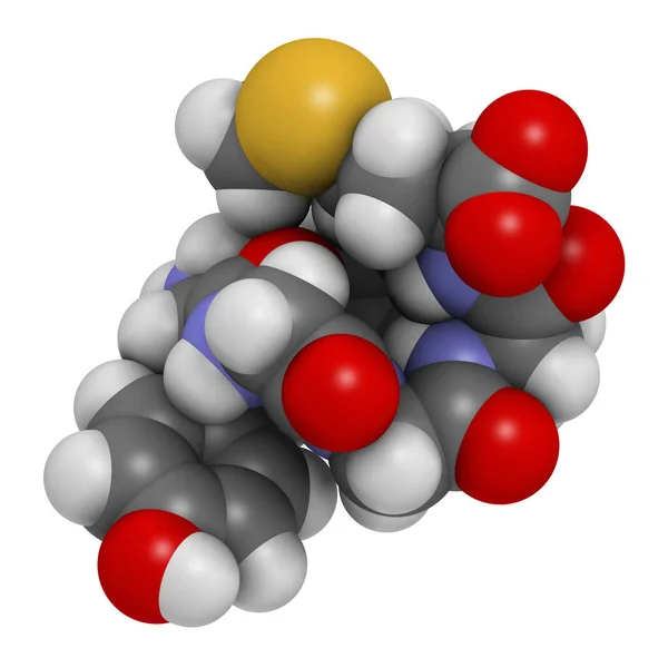 Met Enkephalin Endogenous Opioid Peptide Molecule 렌더링 원자는구 표현되어 있습니다 — 스톡 사진