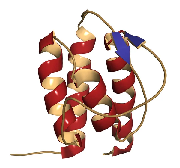 Interleuchina Proteina Citochina Illustrazione Raffigurazione Dei Cartoni Animati Con Colorazione — Foto Stock