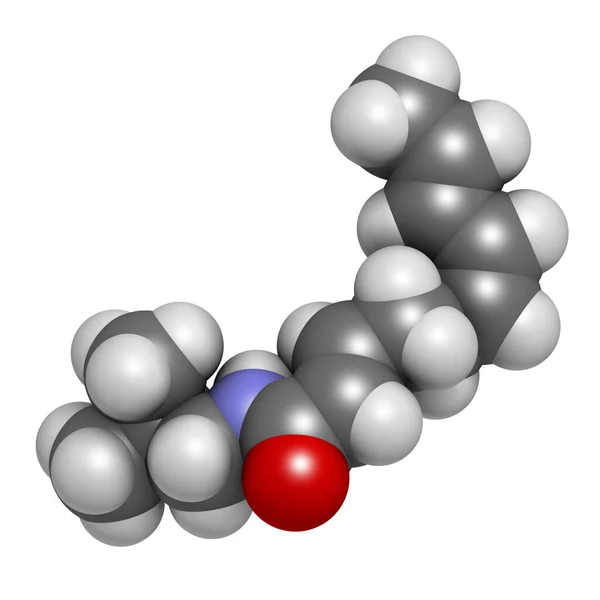 スピラントール分子 Acmella Oleracease 歯痛植物 に存在する局所麻酔薬 3Dレンダリング 原子は従来の球面として表される — ストック写真