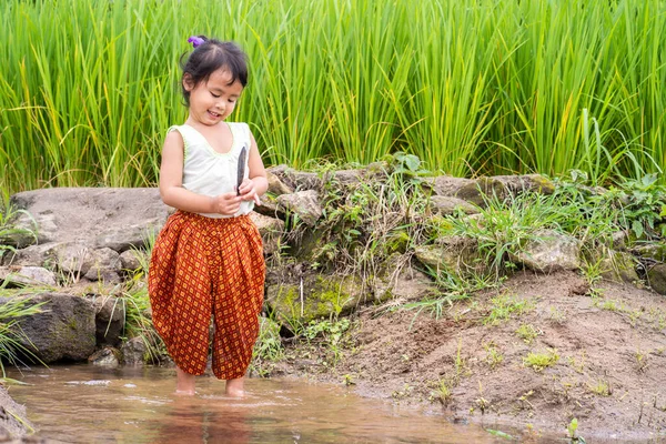 Ein Süßes Glückliches Asiatisches Kleines Mädchen Steht Einem Reisfeld — Stockfoto