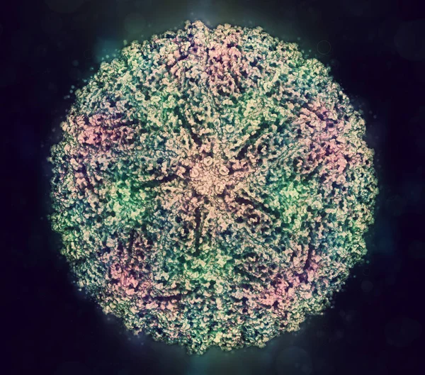Zika virus. Atomic level structure, determined by cryo-EM. Causes Zika fever. 3D rendering.