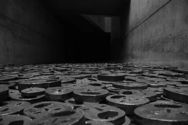 Художнє Оформлення Під Назвою Fallen Leaves Секції Void Jewish Museum — стокове фото