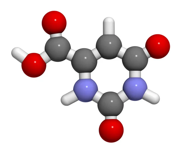 Orotic Acid 렌더링 원자는구 표현되어 있습니다 — 스톡 사진