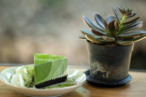 木のテーブルの上においしい抹茶チーズケーキと観葉植物 — ストック写真