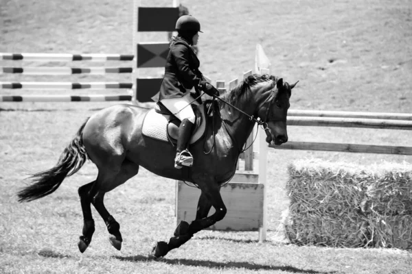 Johannesburg South Africa Jan 2021 Grayscale Equestrian Show Horse Riding — Stock Photo, Image