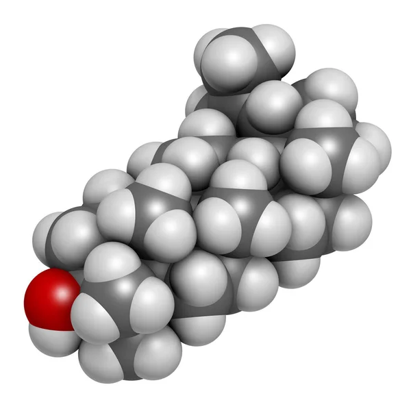 Lupeol Molekülü Boyutlu Görüntüleme Atomlar Geleneksel Renk Kodlaması Olan Küreler — Stok fotoğraf