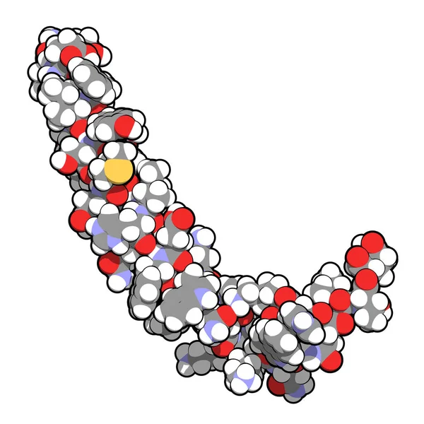 Magsäckshämmande Polypeptid Gip Glukosberoende Insulinotropisk Peptid Endokrint Proteinhormon Illustration Atomer — Stockfoto