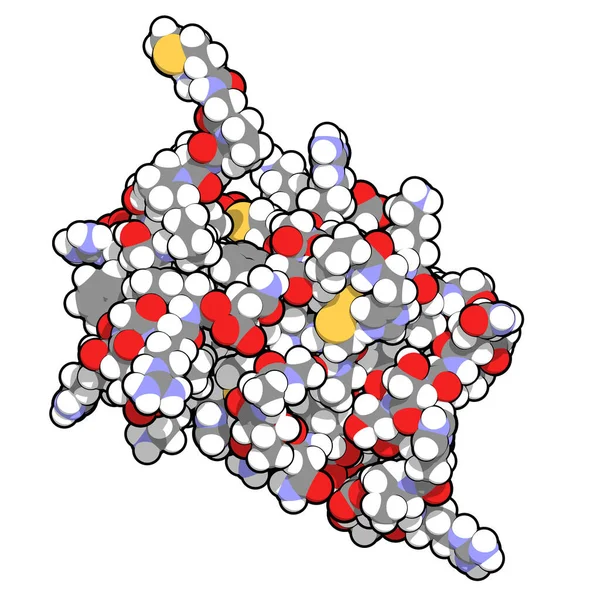 Interleukine Cytokineeiwit Illustratie Atomen Weergegeven Als Bollen Met Conventionele Kleurcodering — Stockfoto