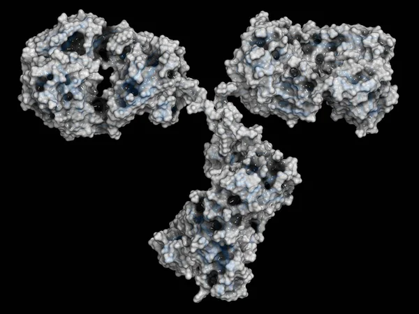 Anticorpo Monoclonal Igg2A Imunoglobulina Renderização Muitos Medicamentos Biotecnológicos São Anticorpos — Fotografia de Stock