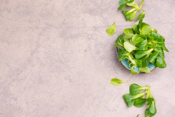 Lechuga Cordero Fresca Espacio Copia Vacío Para Texto Ensalada Verde —  Fotos de Stock