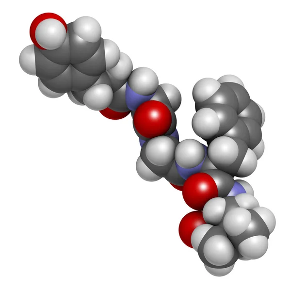 Leu Enkephalin内源类鸦片肽分子 3D渲染 原子被表示为具有常规颜色编码的球体 — 图库照片