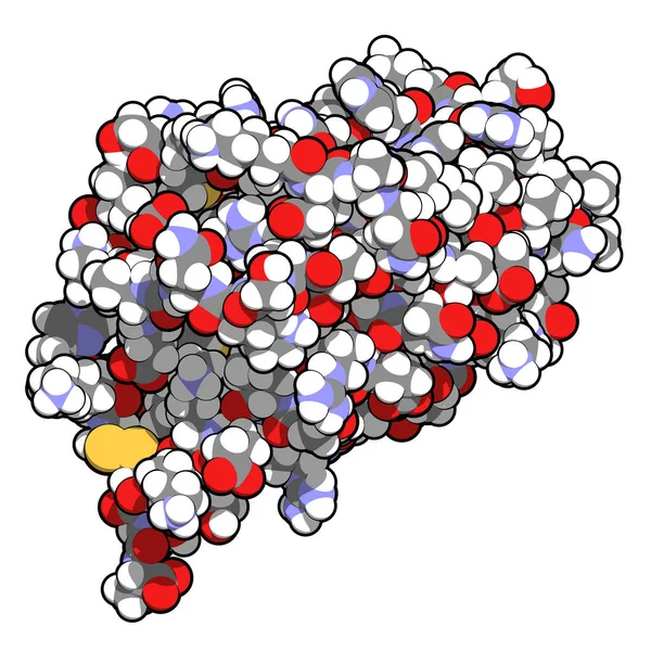 インターロイキン4 サイトカインタンパク質 3Dイラスト 従来のカラーコーディングを施した球体として表示される原子 — ストック写真