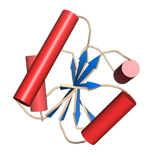 Thioredoxin Antioxidatives Enzym Illustration Zeichentrickdarstellung Mit Sekundärer Strukturfärbung Blaue Blätter — Stockfoto