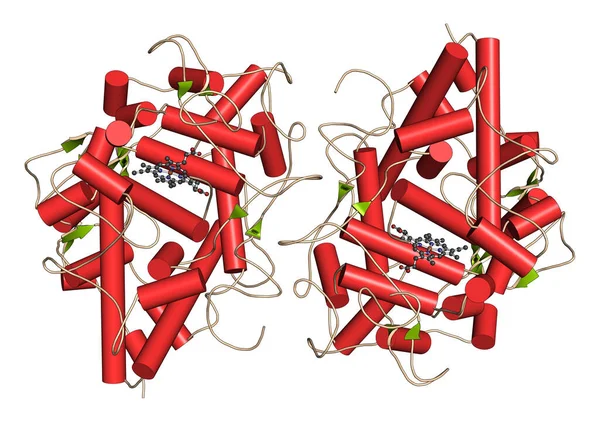 Mpo        Mpo  Depositphotos �