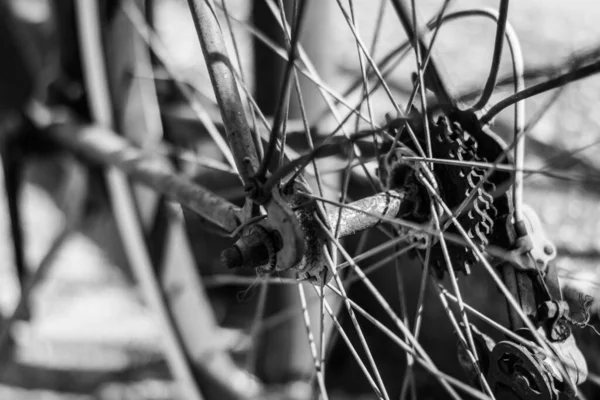 Eski Bir Bisiklet Tekerleğinin Gri Tonlu Görüntüsü — Stok fotoğraf
