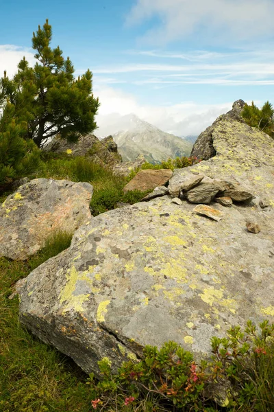 Dolomites Italy Michlreis Alm Mountains Alps Landscape Europe Hiking Area — стокове фото