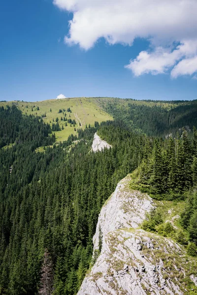 Vertikální Záběr Obrovských Bílých Mraků Jasně Modré Obloze Nad Pulzujícím — Stock fotografie