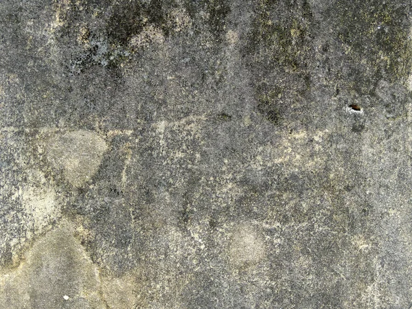 Текстура Бетонной Стены Покрыта Мхом — стоковое фото