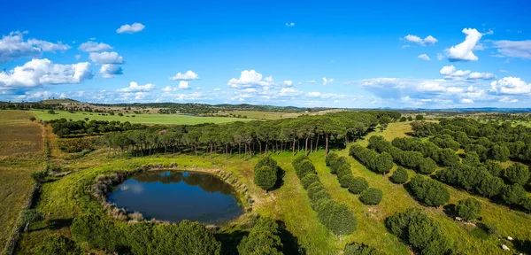 田園風景の空中ビュー Alentejoポルトガル — ストック写真