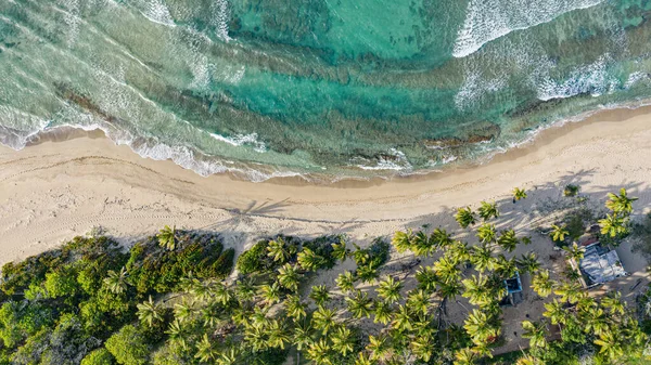 Een Zandstrand Van Een Azuurblauwe Oceaan Gezien Van Boven — Stockfoto