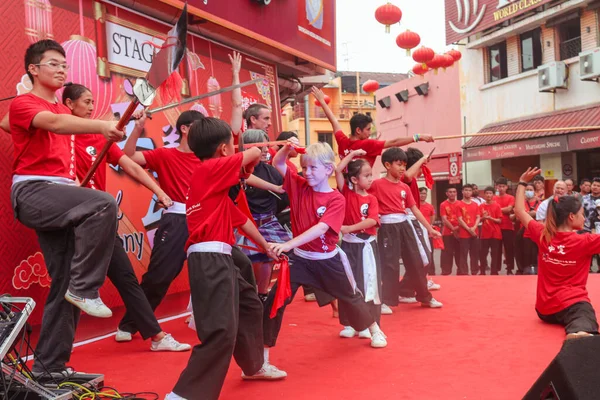 Georgetown Malasia Feb 2020 Primer Plano Una Danza Tradicional Lucha — Foto de Stock