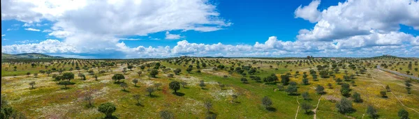 Letecký Pohled Krajinu Alentejo Portugalsko — Stock fotografie