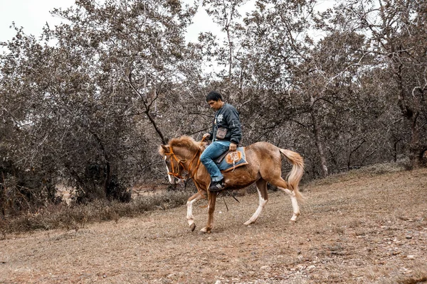 Baguio Philippinen Dezember 2017 Ein Reiter Auf Einem Pferd Baguio — Stockfoto