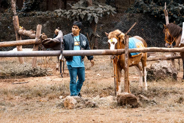 Baguio Philippines Déc 2017 Cavalier Des Chevaux Baguio City Philippines — Photo