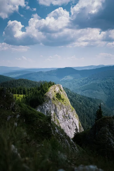 Eine Vertikale Aufnahme Einer Lebhaften Grünen Klippe Die Von Dicken — Stockfoto