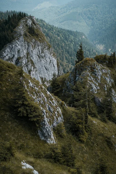 Bellissimo Paesaggio Con Rocce Muschiose Fitte Foreste Alta Collina Nel — Foto Stock