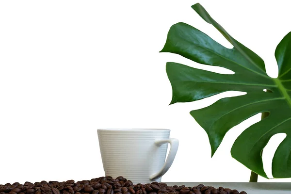 白い背景にコーヒー ローストコーヒー豆 モンスターの葉のカップ — ストック写真