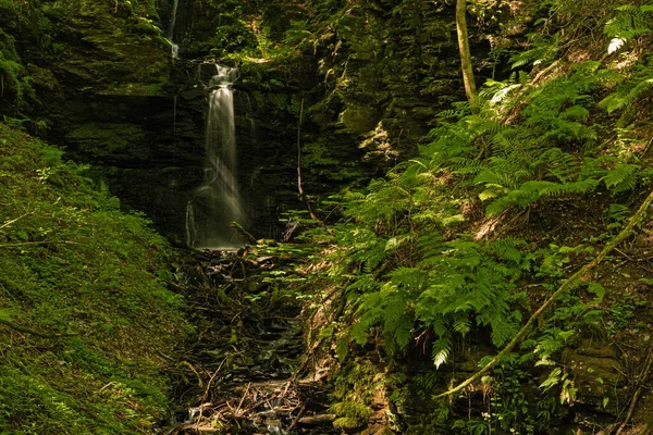 Stezka Lese Vedoucí Vodopádu Denního Světla — Stock fotografie