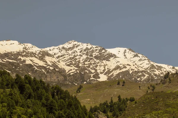 澄んだ空の下での緑と雪に覆われた山の景色 — ストック写真