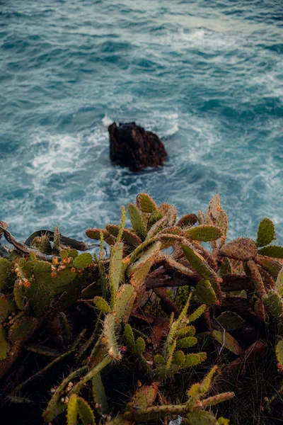 ジェノヴァの海岸の海と緑豊かな植物 イタリア — ストック写真